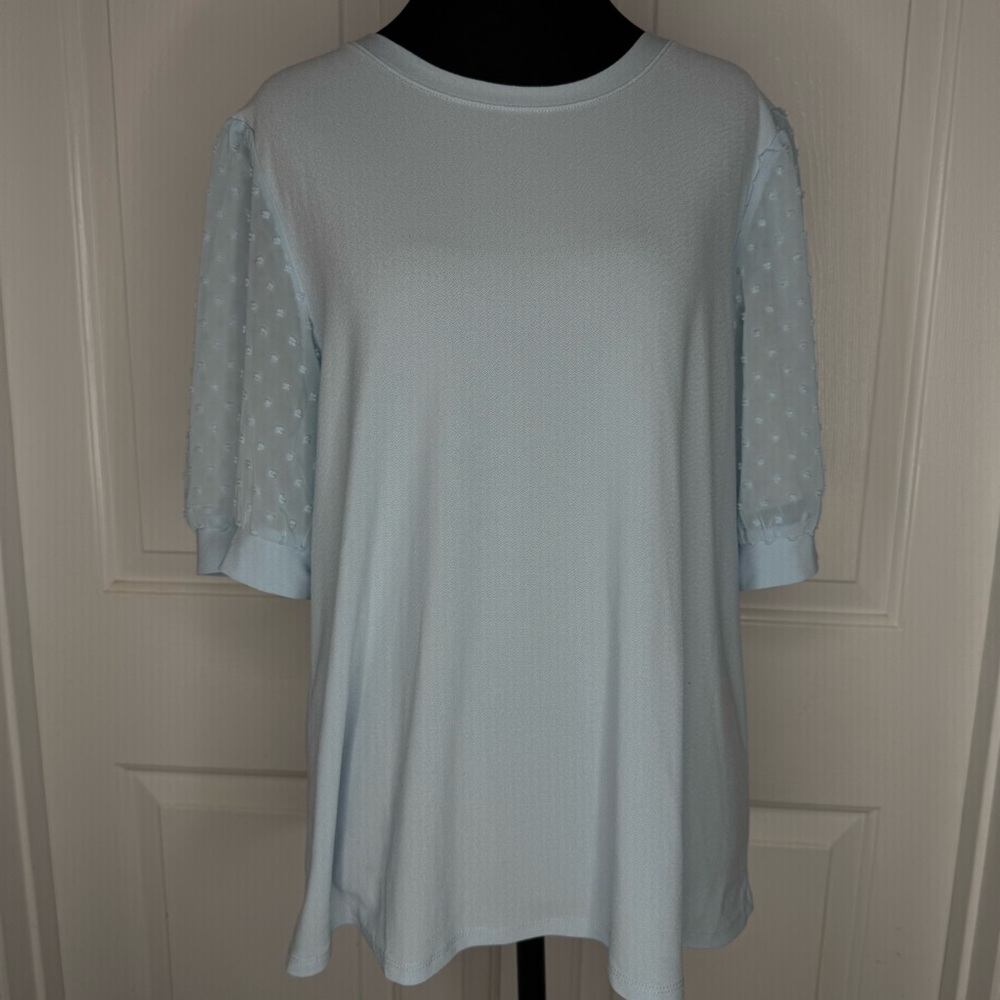 Elegant Light Baby Blue Women's Top with sheer sleeves